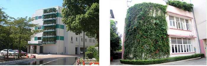 ���щ���G������