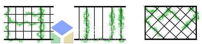 ���z�����N��ʽ