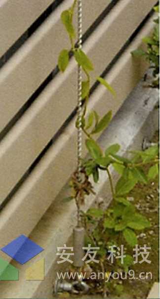 ��ʽЧ���D