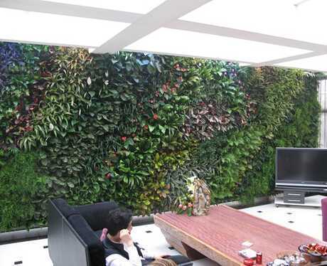 武漢高爾夫會(huì)所室內(nèi)植物生態(tài)墻 武漢高爾夫會(huì)所室內(nèi)植物生態(tài)墻