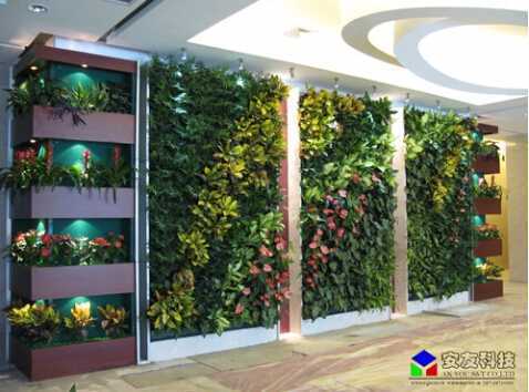 垂直綠化生態(tài)植物墻_工程實例 垂直綠化生態(tài)植物墻_工程實例