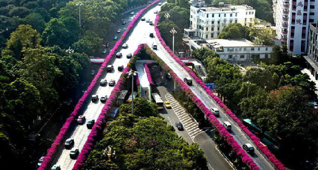 �߼ܘ�G���B(y��ng)�o(h��)���g(sh��)