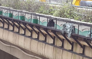 �߼ܘ�G����(w��n)�}�R��