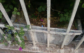 固定結構 固定結構