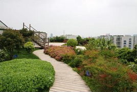 ��픾G������ �D��