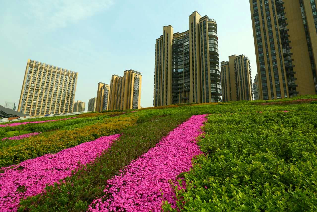 ������픾G��