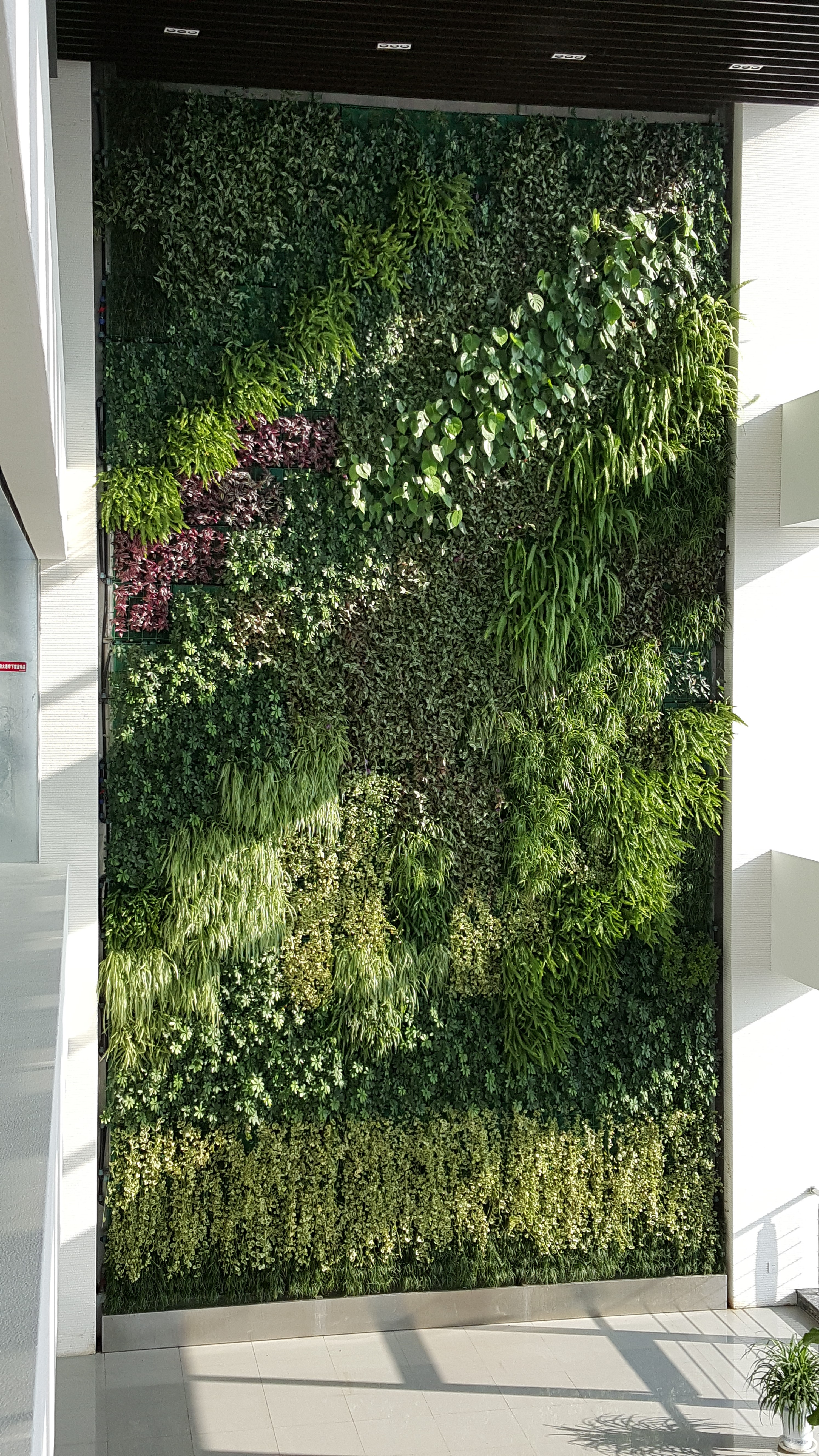 ��h������λ���ֲ�