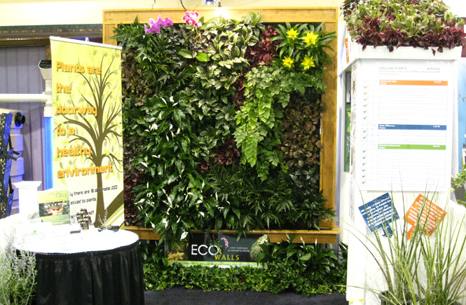 ���w�G��ֲ���