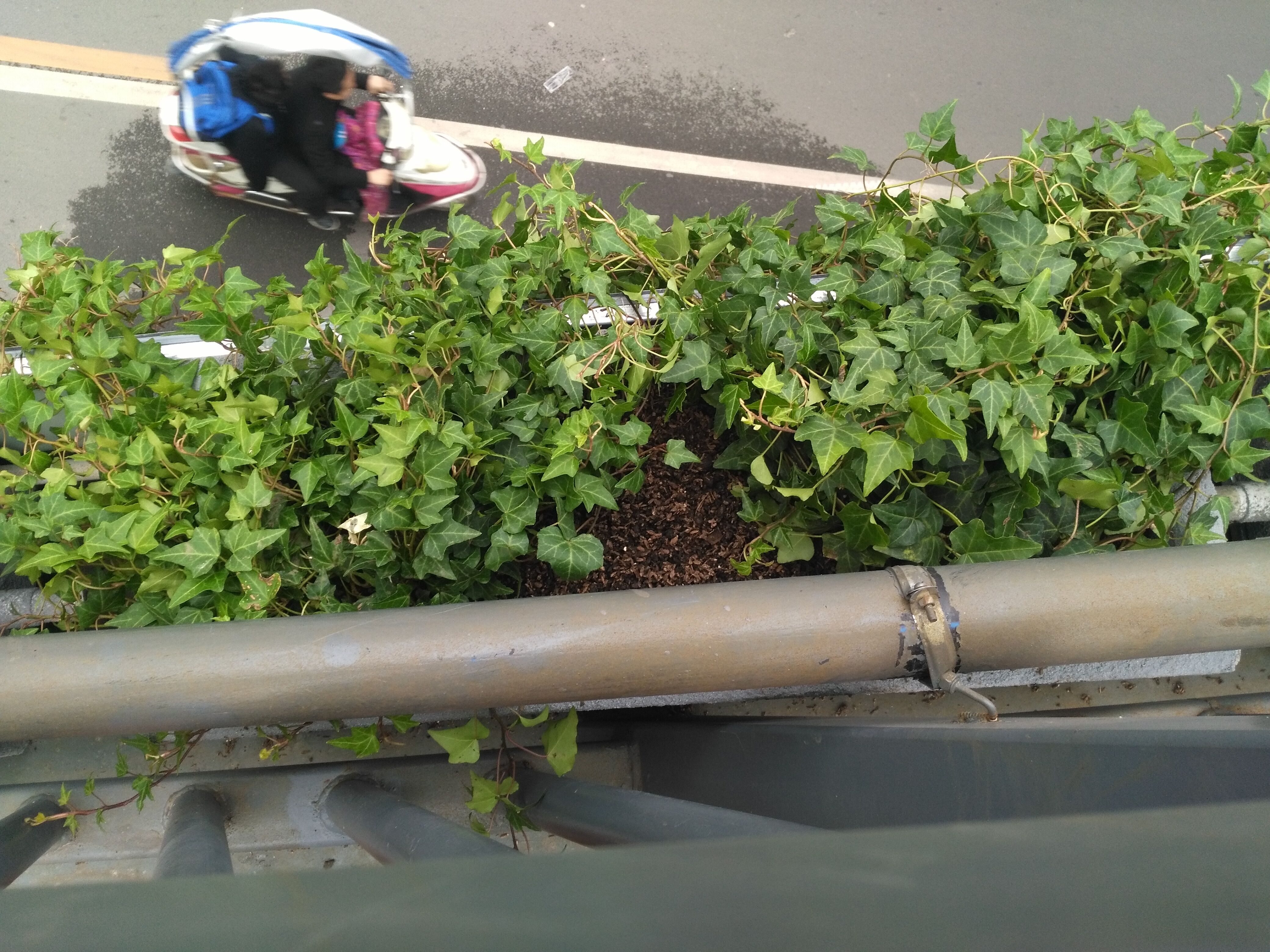 ����������G��