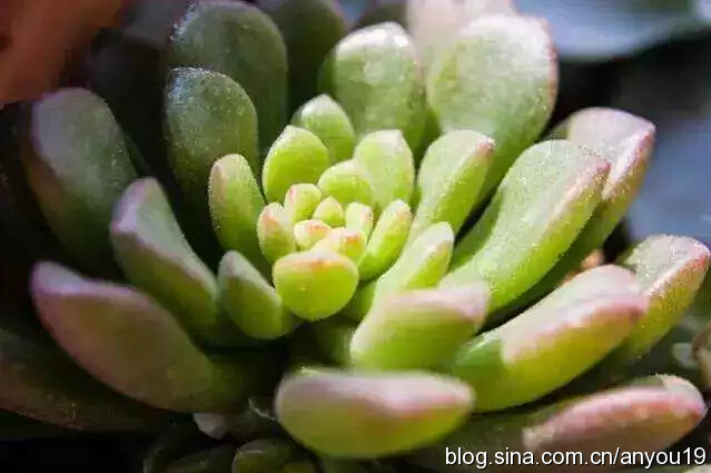 ����ֲ�����]