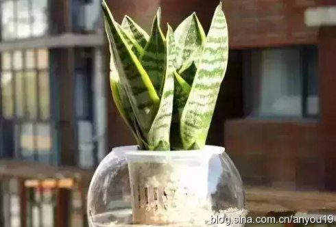 ����ֲ�����]