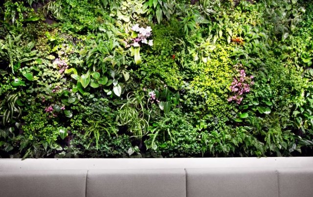 �҃ȾG������