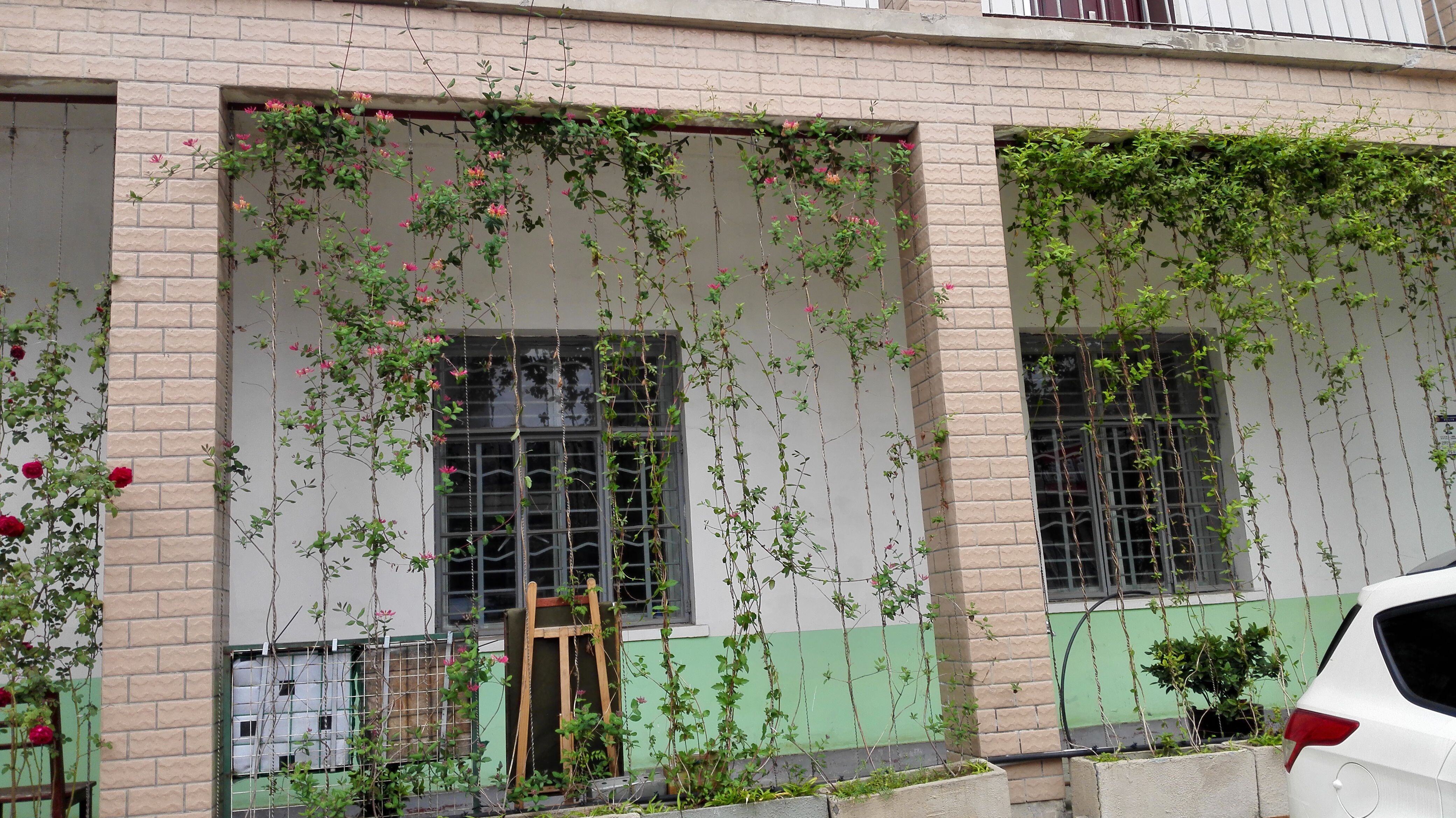 ��ֱ�G�����z����