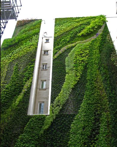 ��ֱ�G����