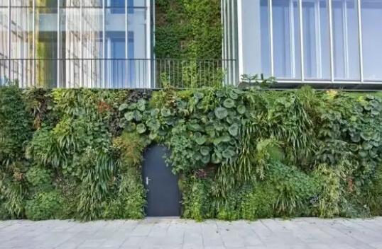 ����ֱ�G����