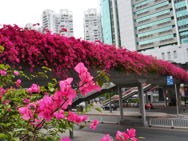 ���������w�G��