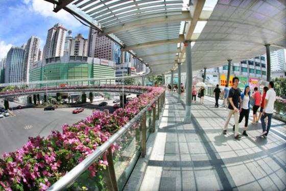 ����������w�G��