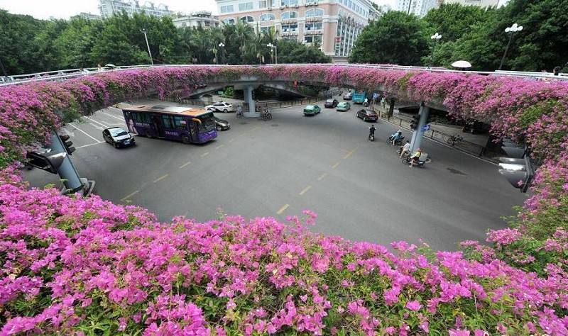 �������G��ֲ����x��