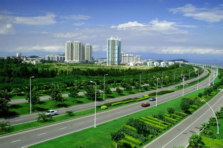 廈門高架橋綠化 廈門高架橋綠化